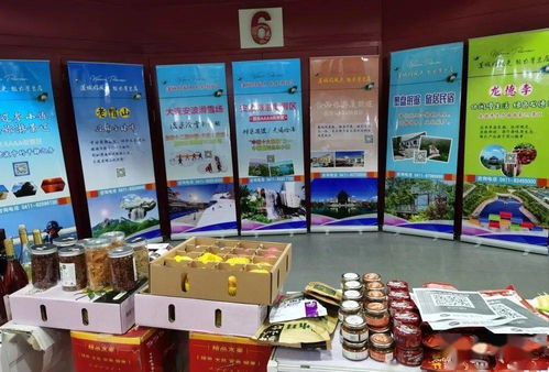攜手長三角，共贏新未來——我區(qū)赴上海成功舉辦對口合作暨地區(qū)特色產(chǎn)品展銷旅游文化推介活動